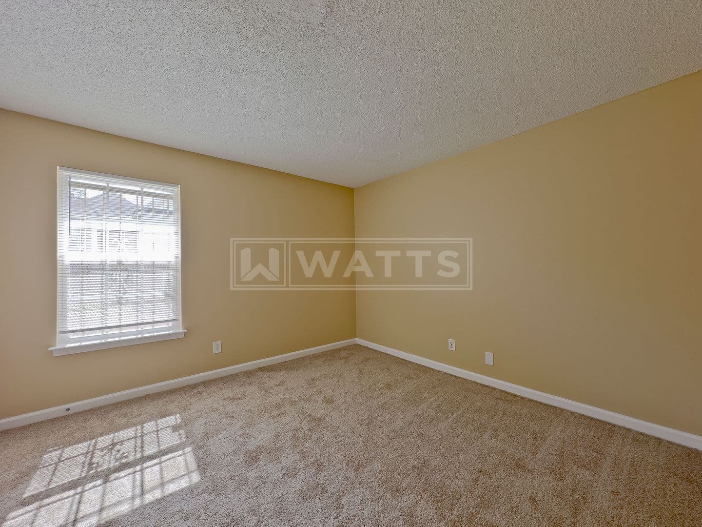 Birmingham Apartment: 3848 6th Avenue South