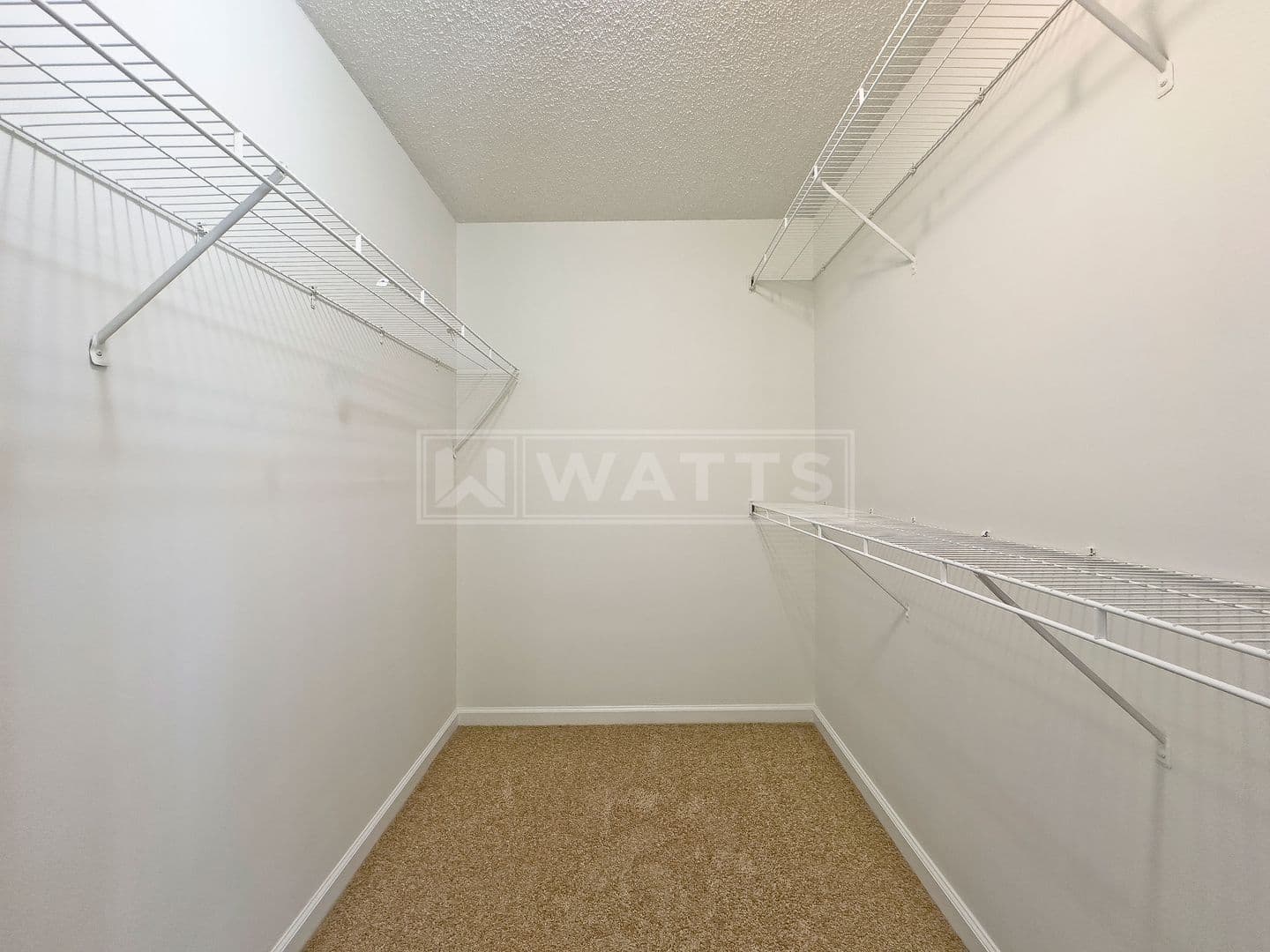 Birmingham Apartment: 3848 6th Avenue South