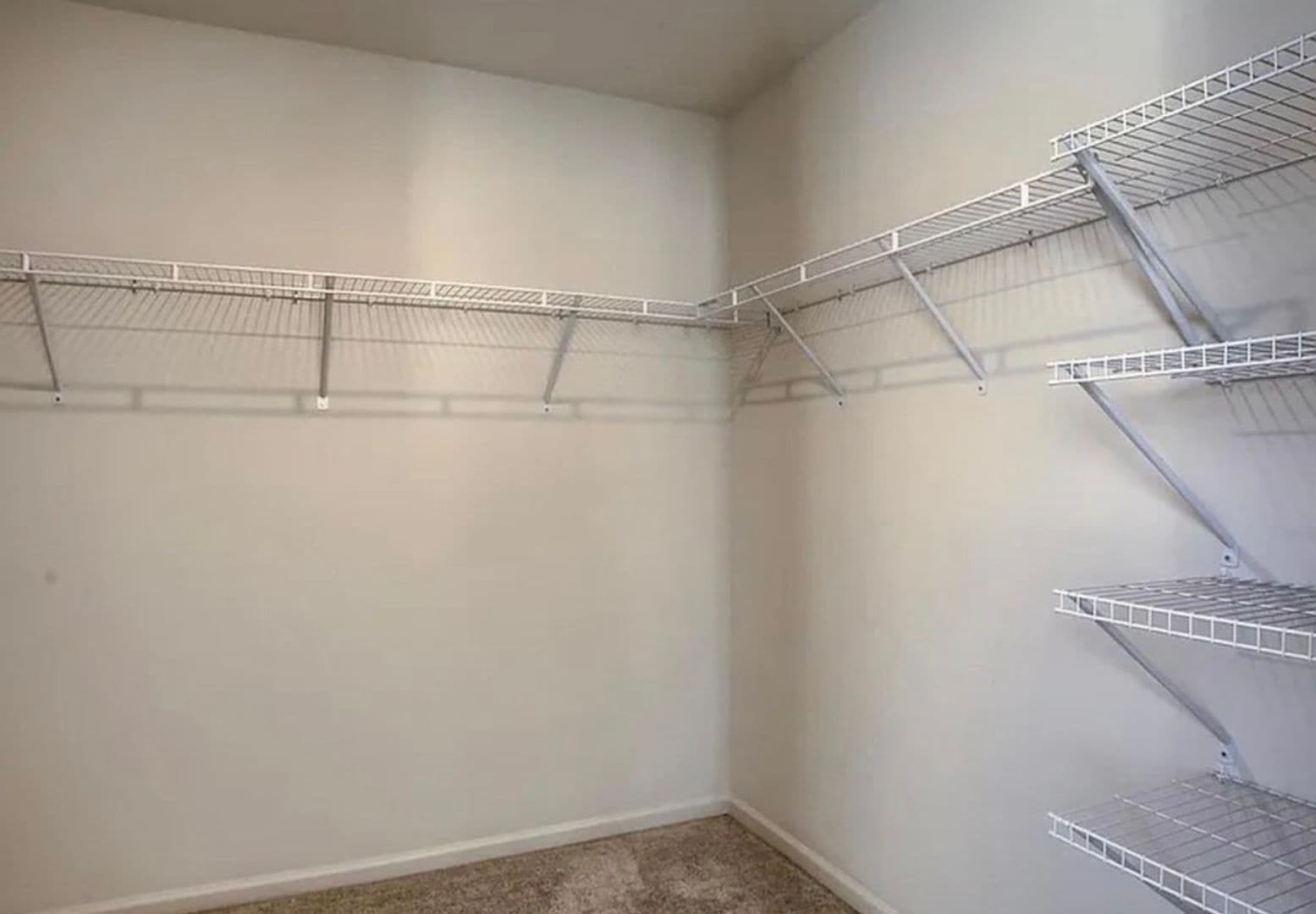 Carlisle Townhome: 11 Shillington Lane