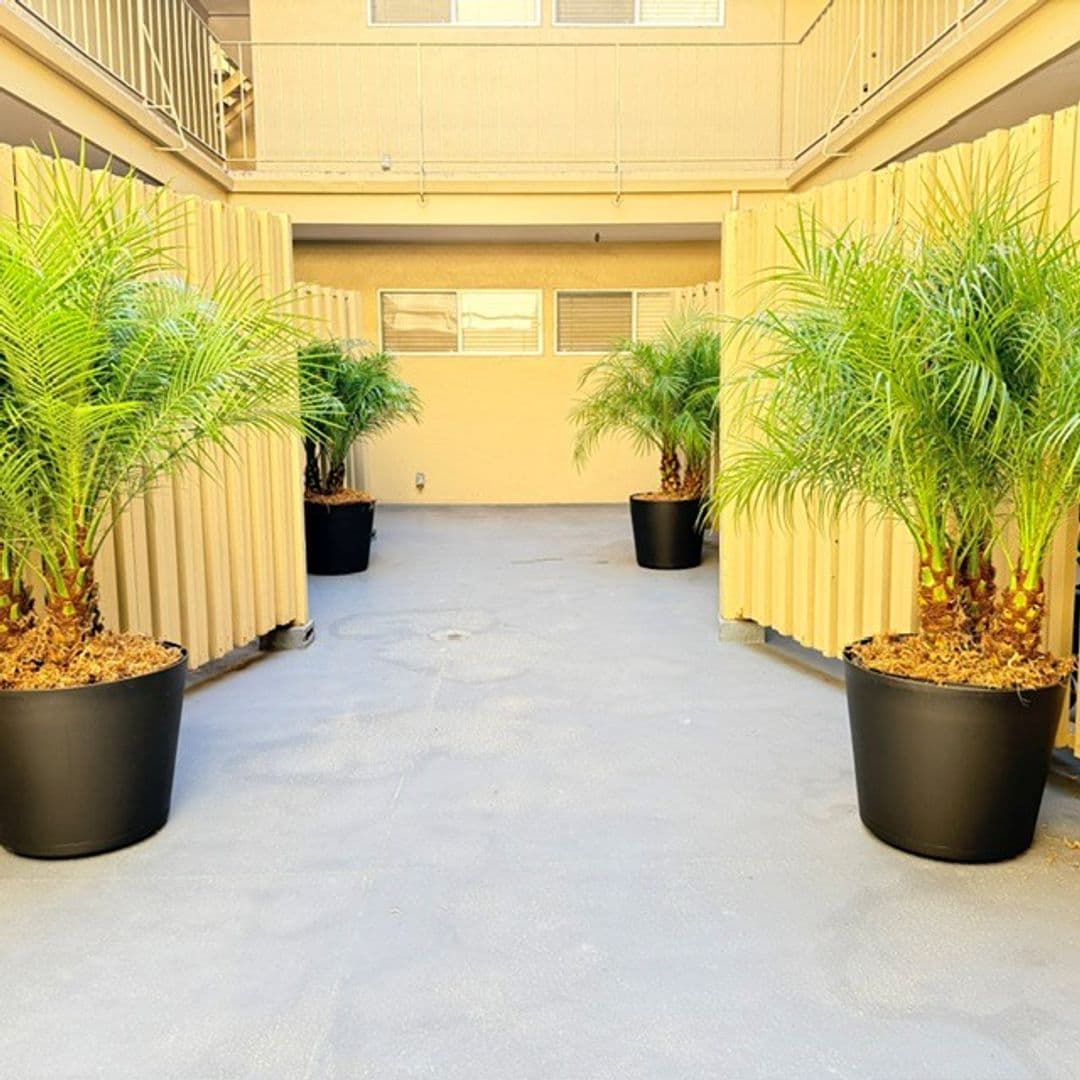 San Francisco Apartment: 1660 Sutter Street