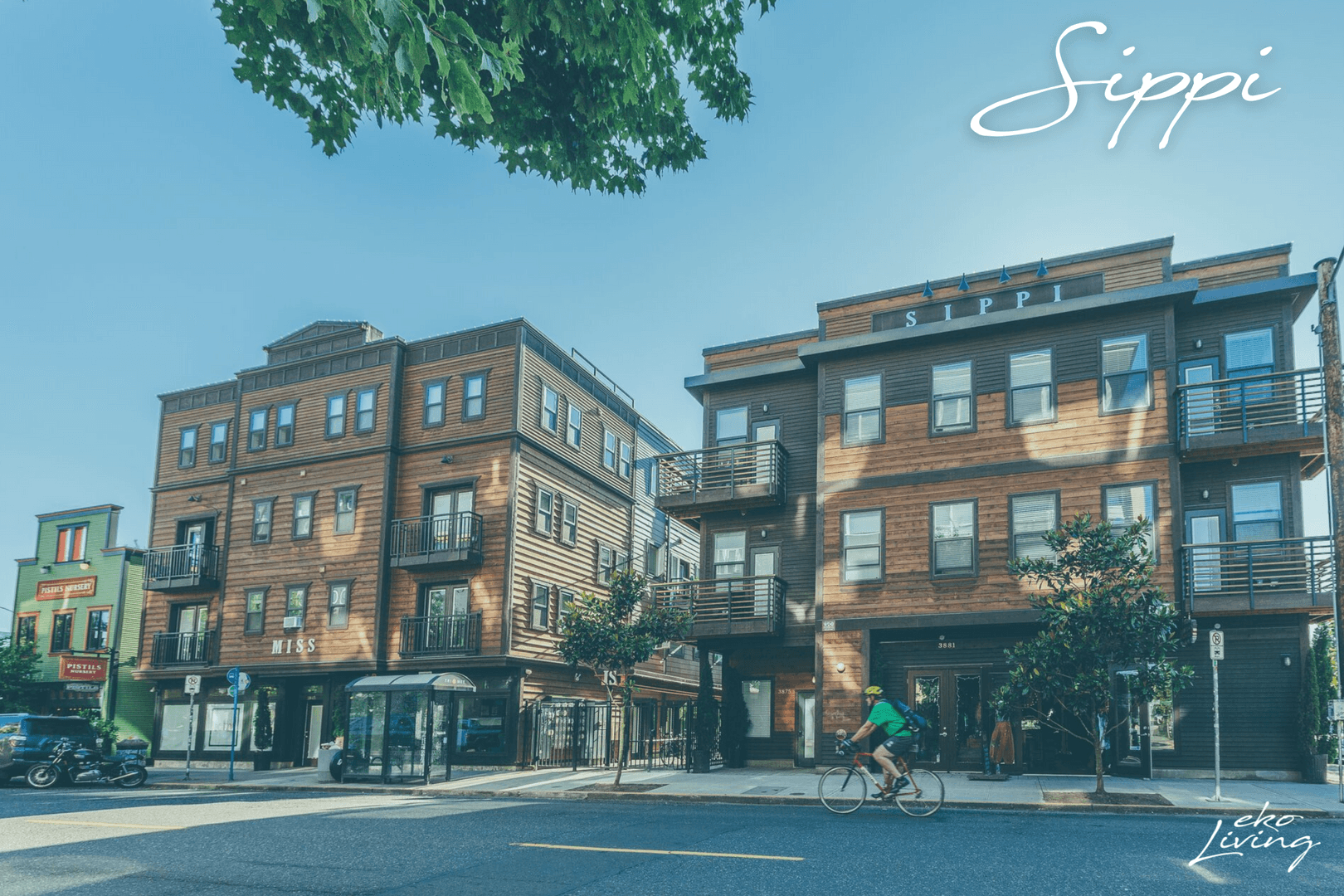 Portland Apartment: 3875 N Mississippi Ave