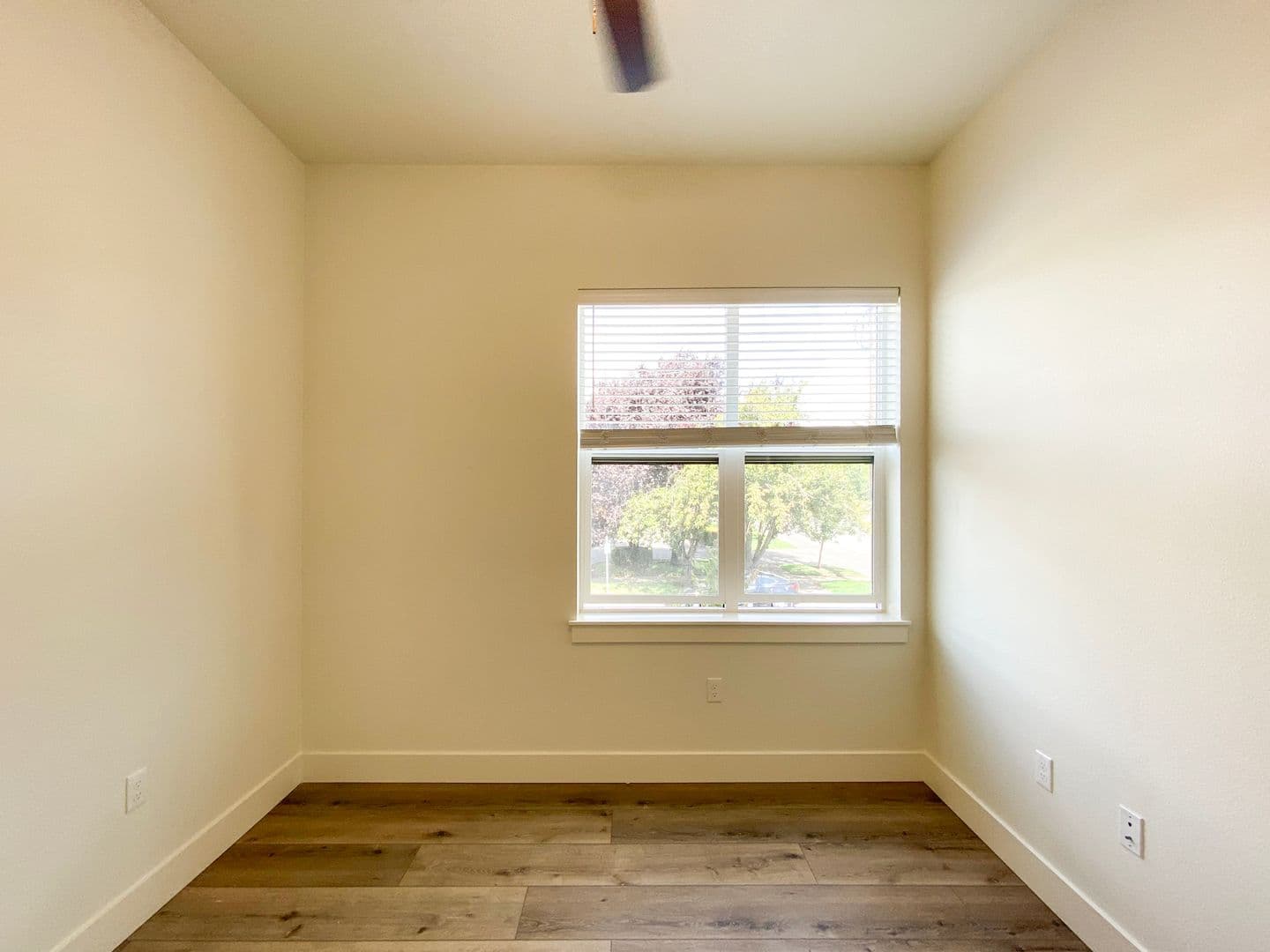 Vancouver Apartment: 1655 C St.
