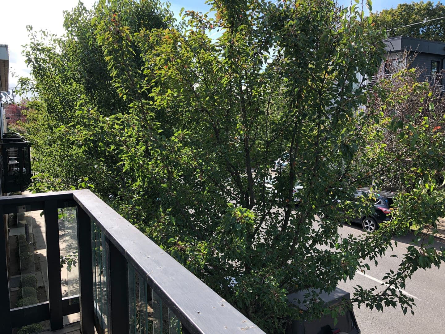Portland Apartment: 1100 & 1120 SE Sherman St.