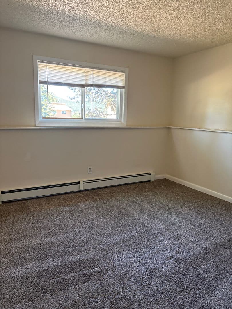 Woodland Park Apartment: 407 Mountain View Place
