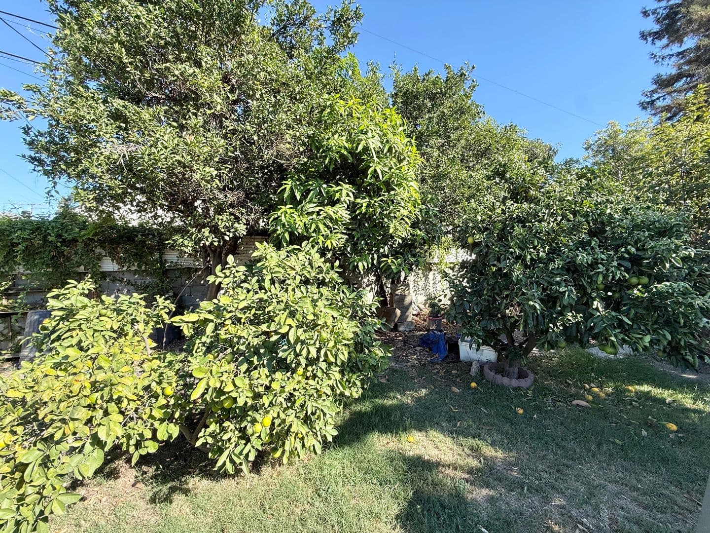 Lakewood House: 5418 Hayter Ave