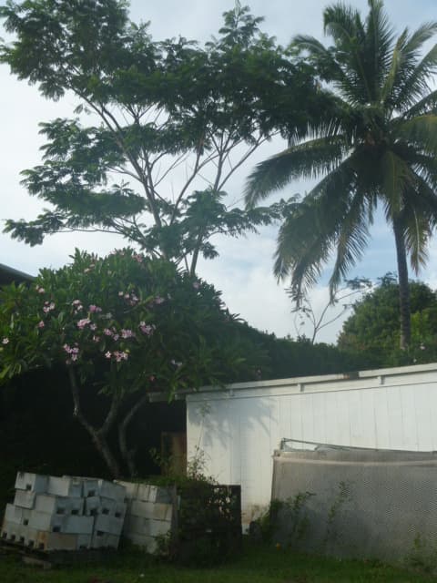 Pearl City House: 2343 Amokemoke Street
