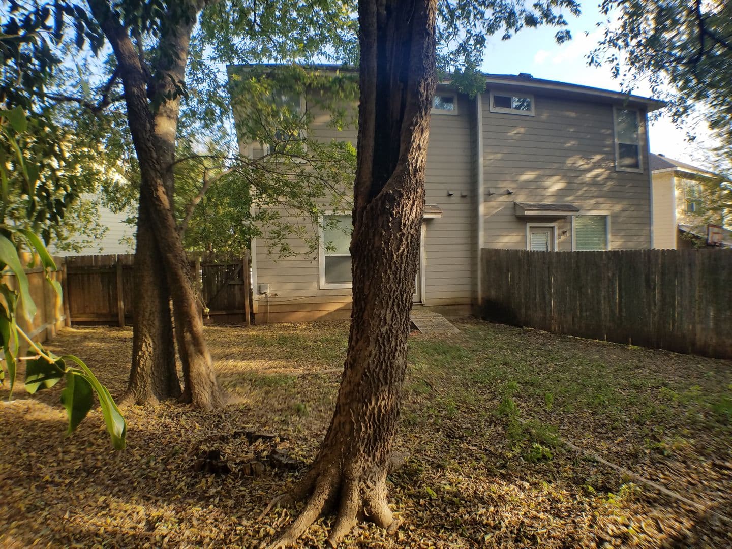 Austin Apartment: 2502 Allred Dr