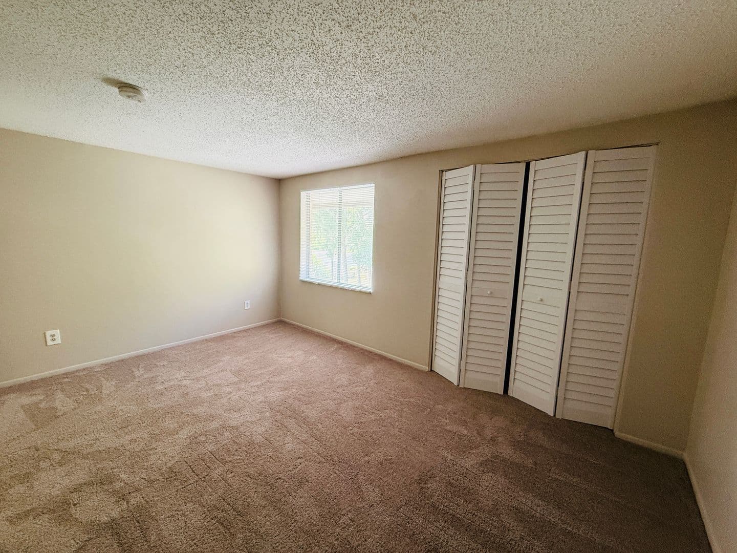 Tampa Condo: 7525 Pitch Pine Cir. Apt. D