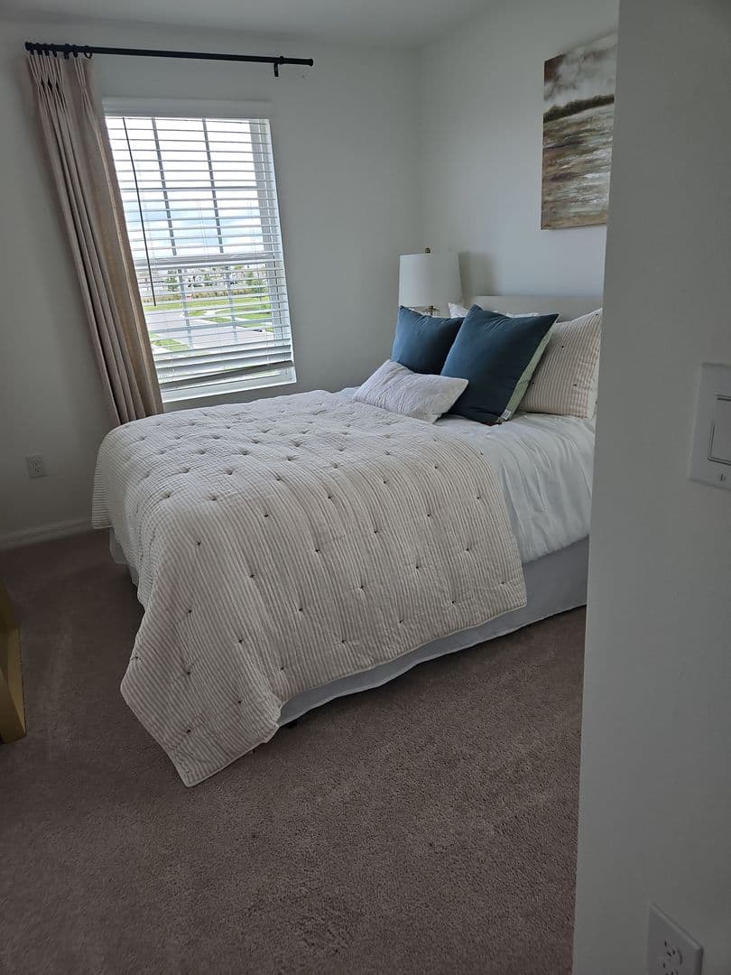 Wesley Chapel Townhome: 2338 Alee Lane