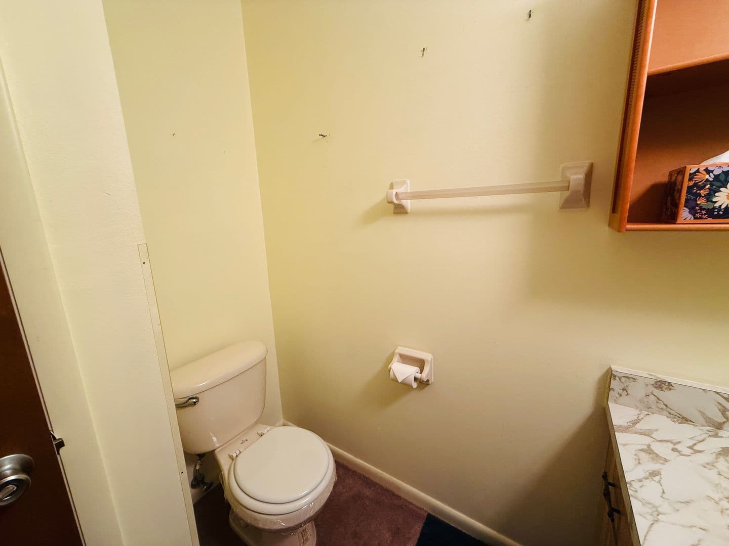 Zephyrhills House: 37819 Alissa Dr.