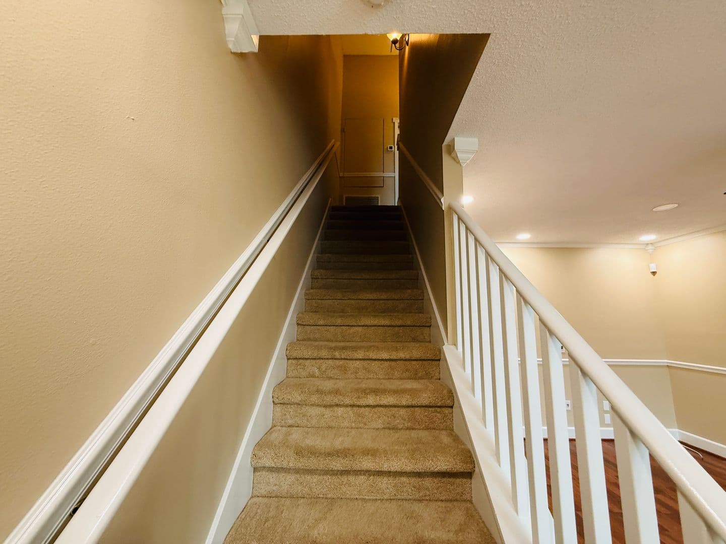 Riverview Townhome: 6253 Osprey Lake Cir