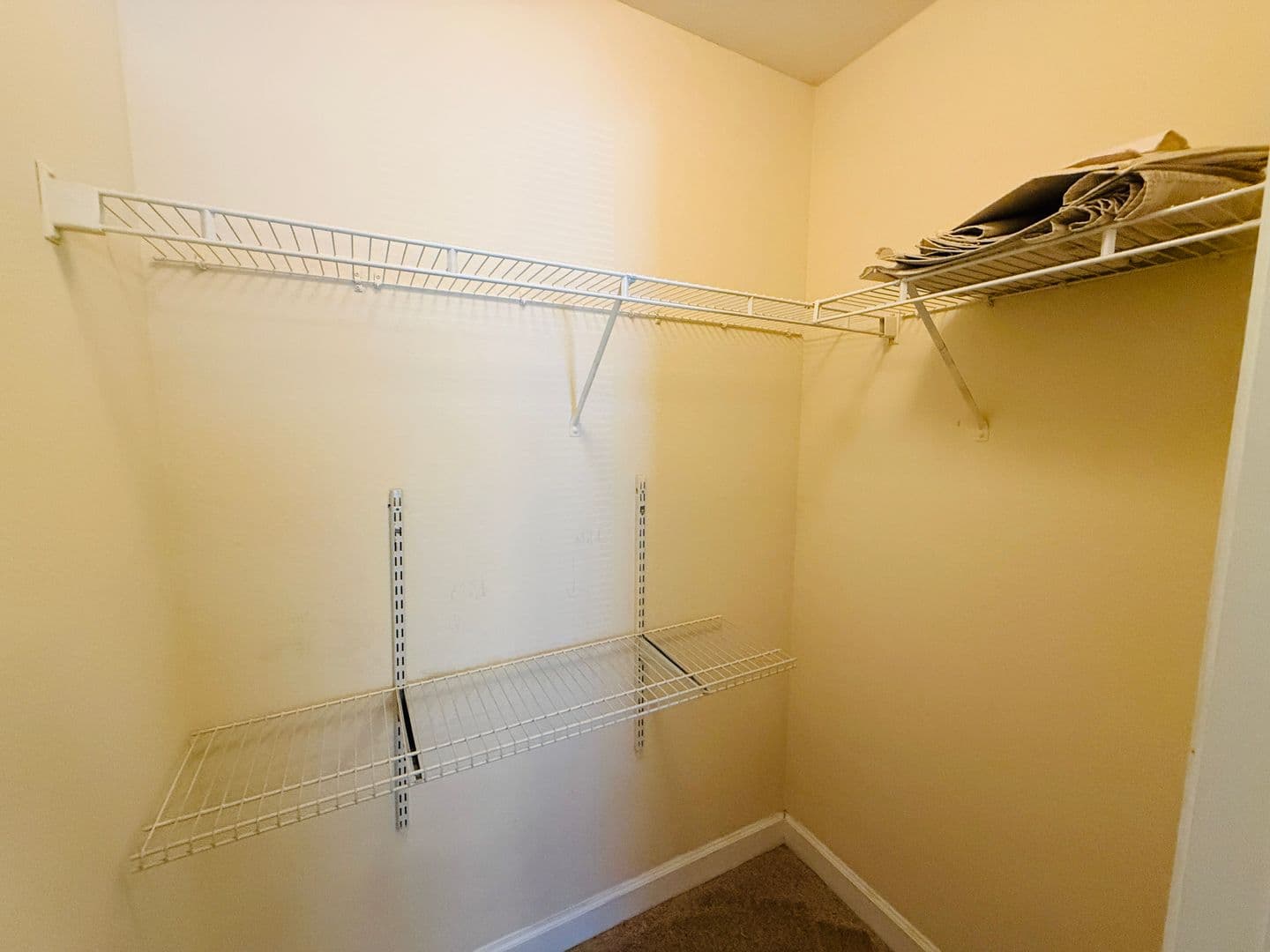 Tampa Condo: 18557 Bridle Club Drive