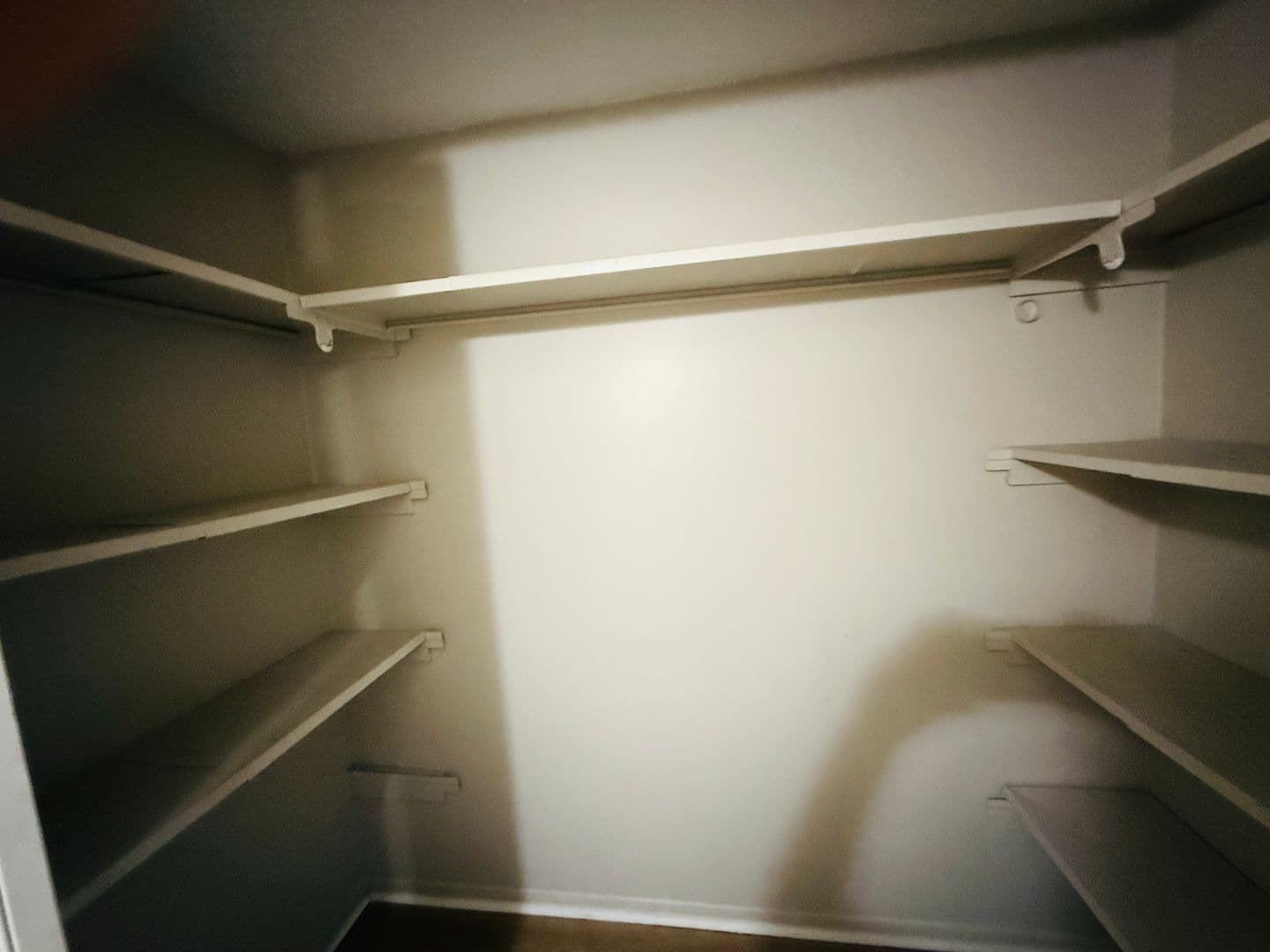 Tampa Condo: 7525 Pitch Pine Cir. Apt. D