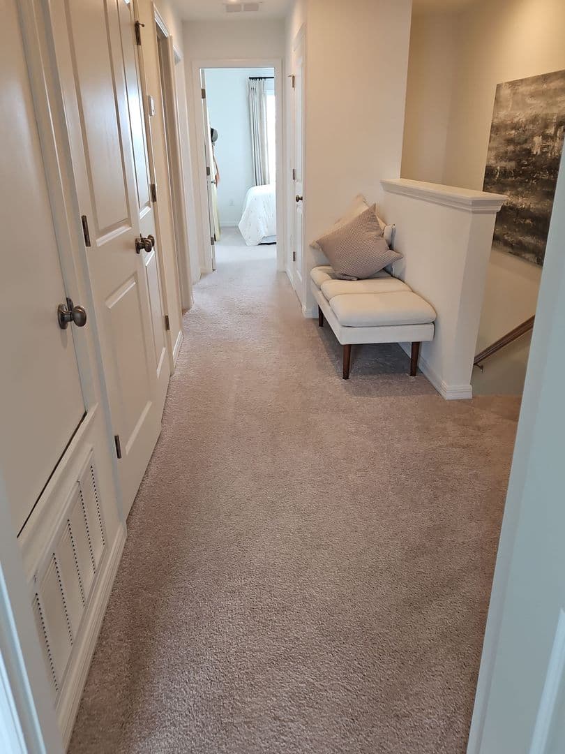Wesley Chapel Townhome: 2338 Alee Lane