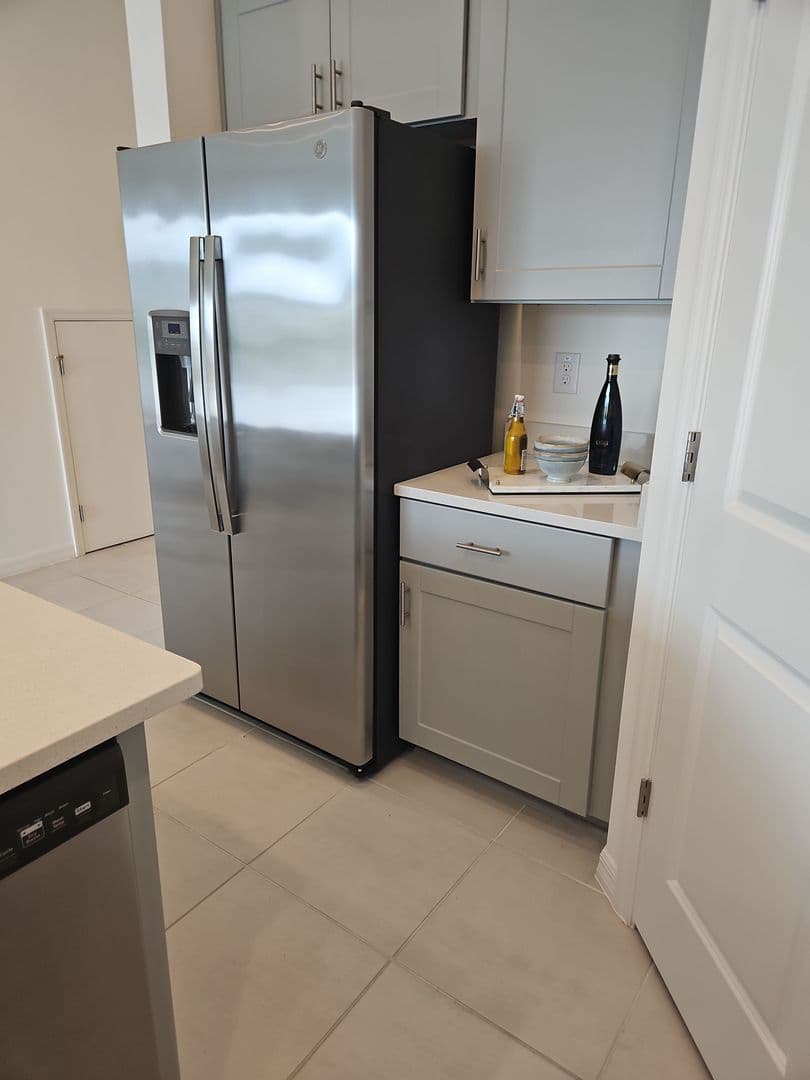 Wesley Chapel Townhome: 2334 Alee Lane