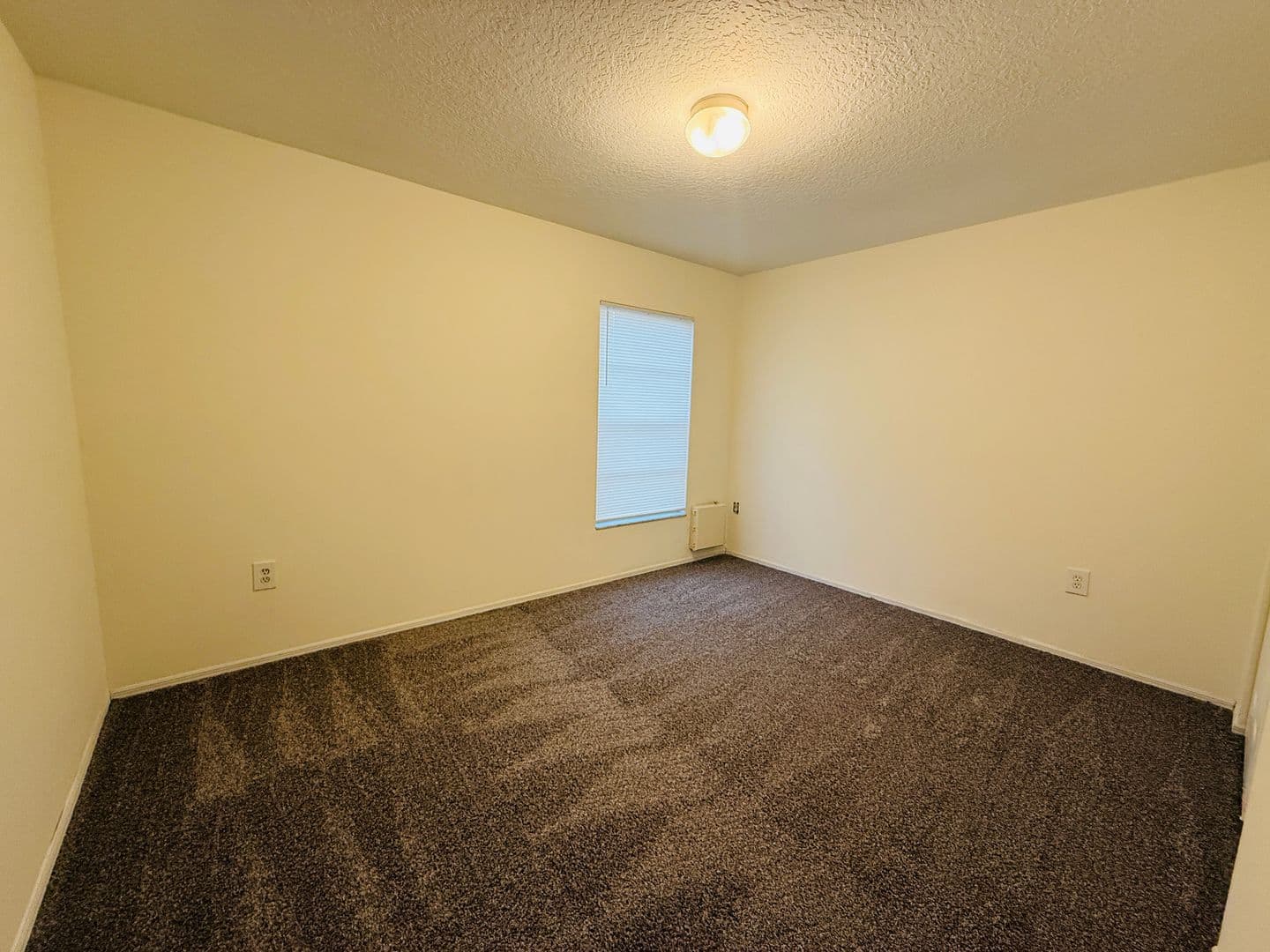 Tampa House: 8507 N. Hyaleah Rd.