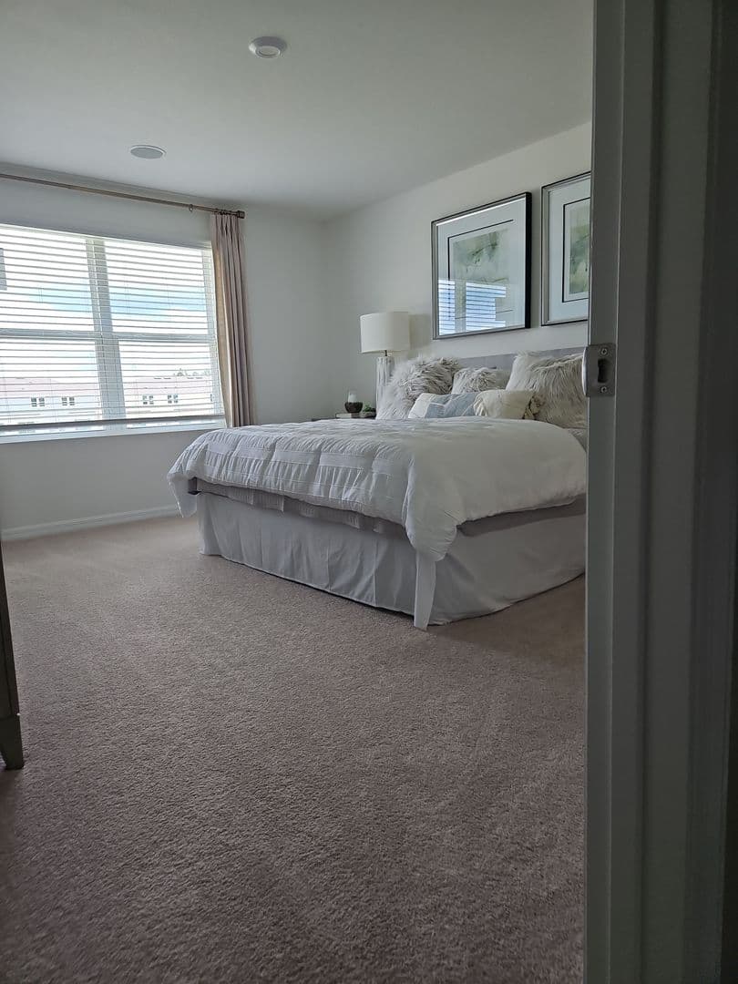 Wesley Chapel Townhome: 2338 Alee Lane