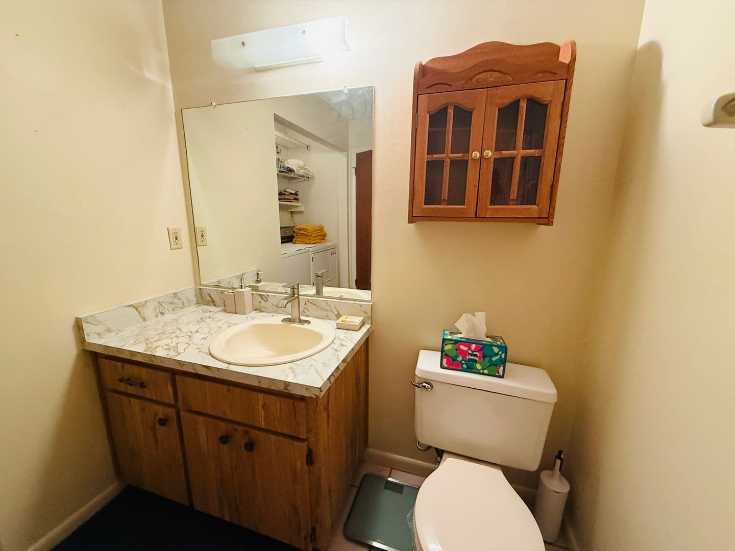 Zephyrhills House: 37819 Alissa Dr.