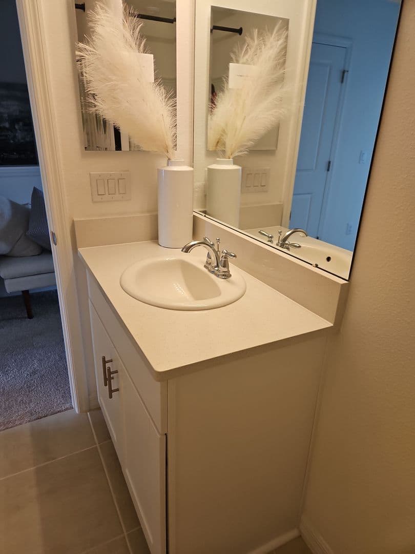 Wesley Chapel Townhome: 2338 Alee Lane