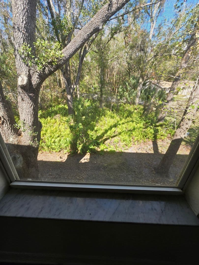 Tampa Townhome: 4431 Har Paul Cir.