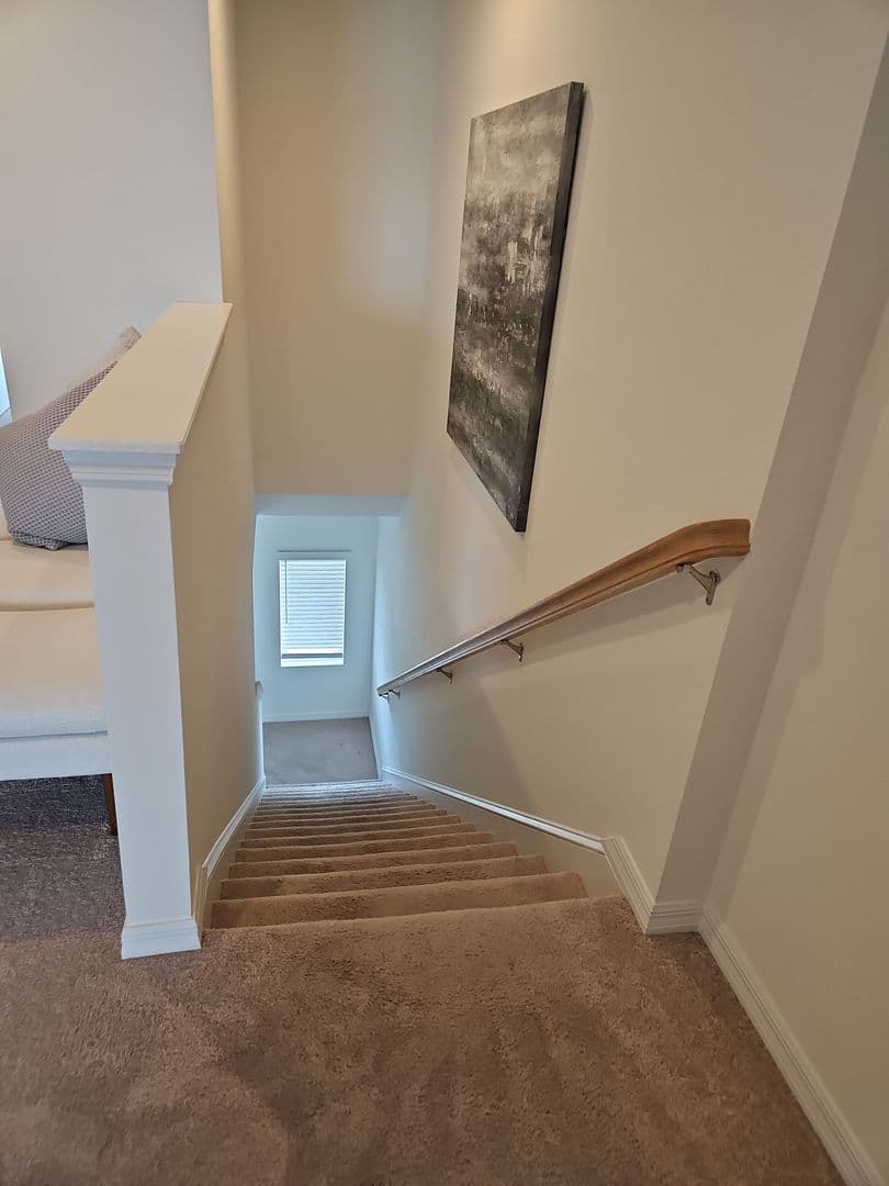 Wesley Chapel Townhome: 2338 Alee Lane