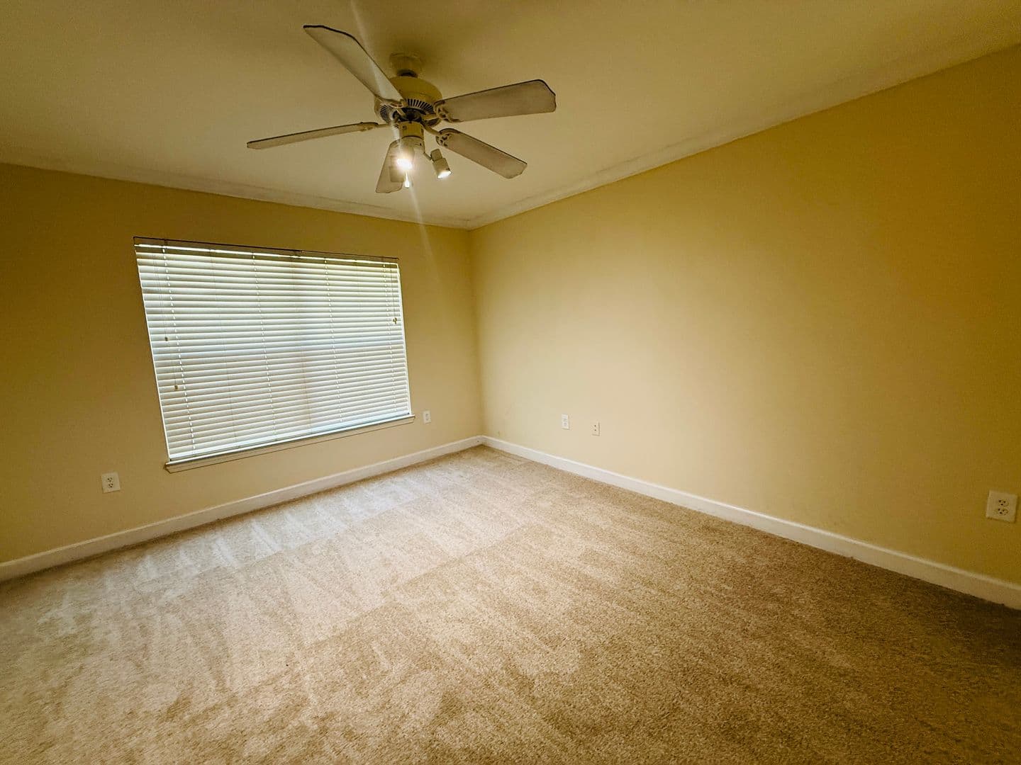 Tampa Condo: 18557 Bridle Club Drive