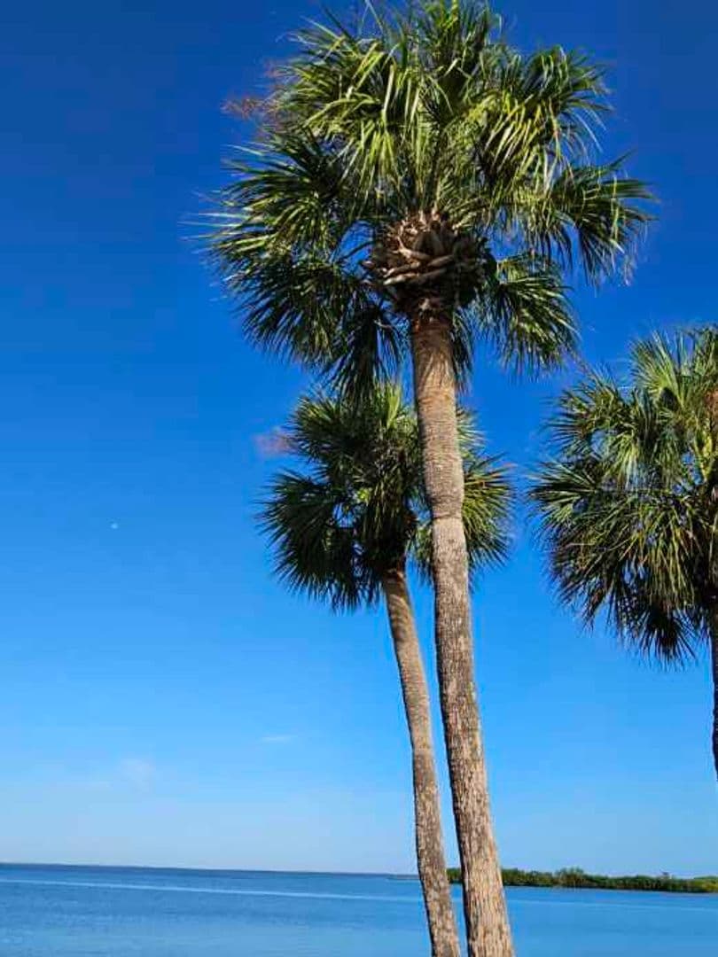 Tampa House: 4851 W. Gandy Blvd. Canal 5