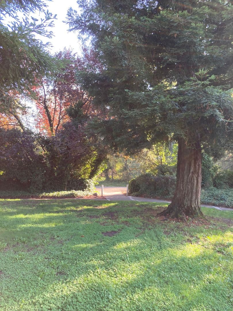 Rohnert Park House: 1065 Copeland Creek Dr