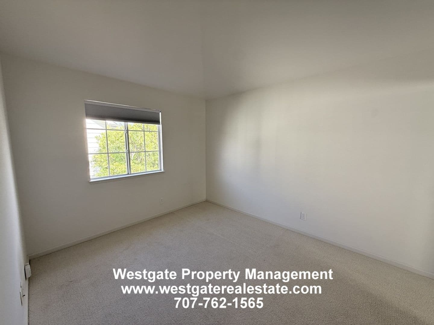 Petaluma House: 2083 Easton Drive