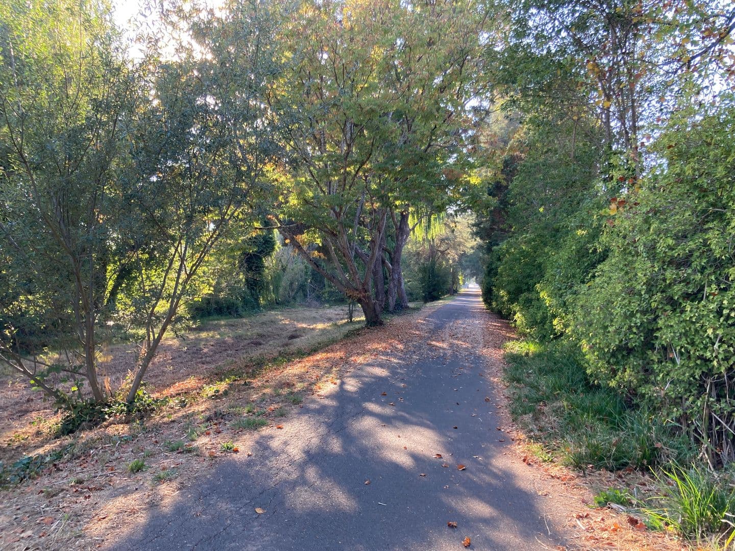 Rohnert Park House: 1065 Copeland Creek Dr