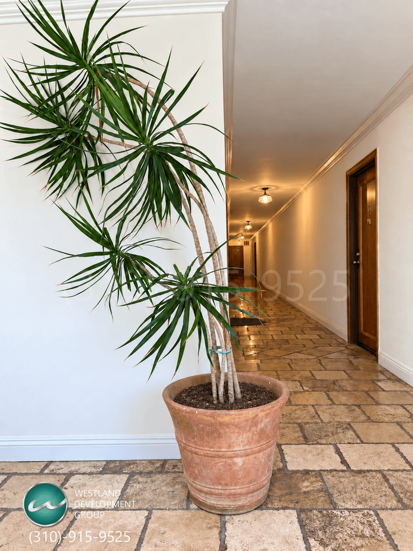 Los Angeles Apartment: 1540 Brockton Avenue