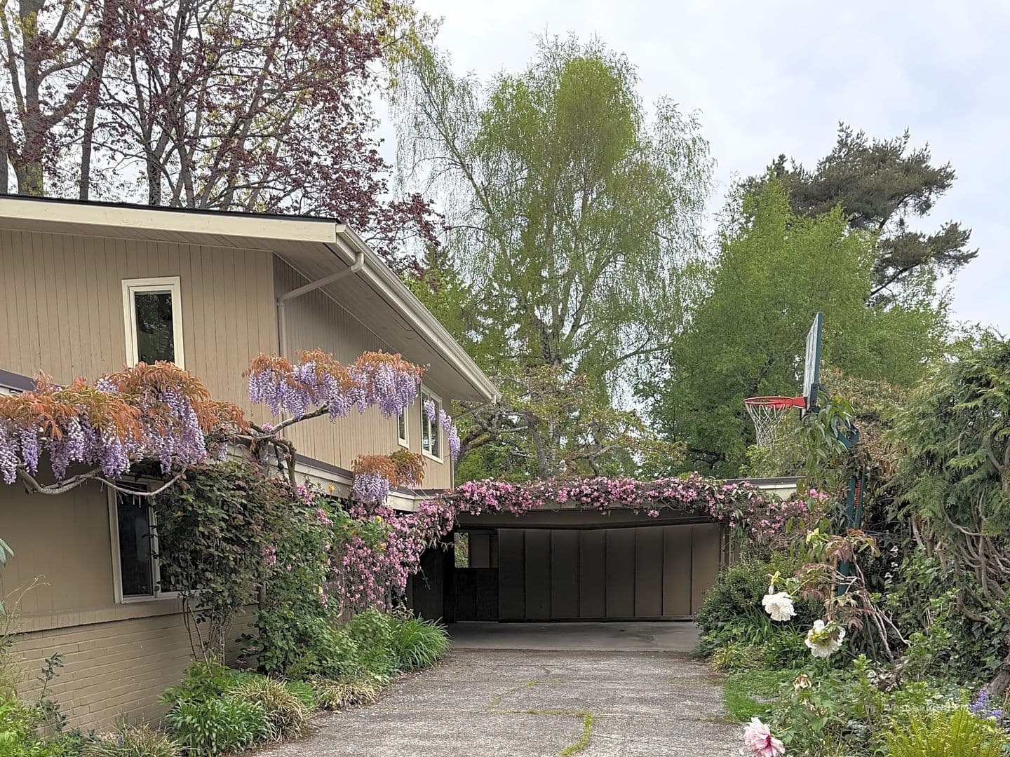 Medina House: 8612 NE 5th St