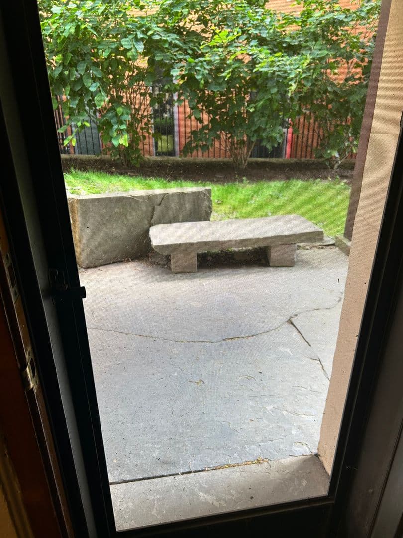 Ithaca Apartment: 127 College Avenue
