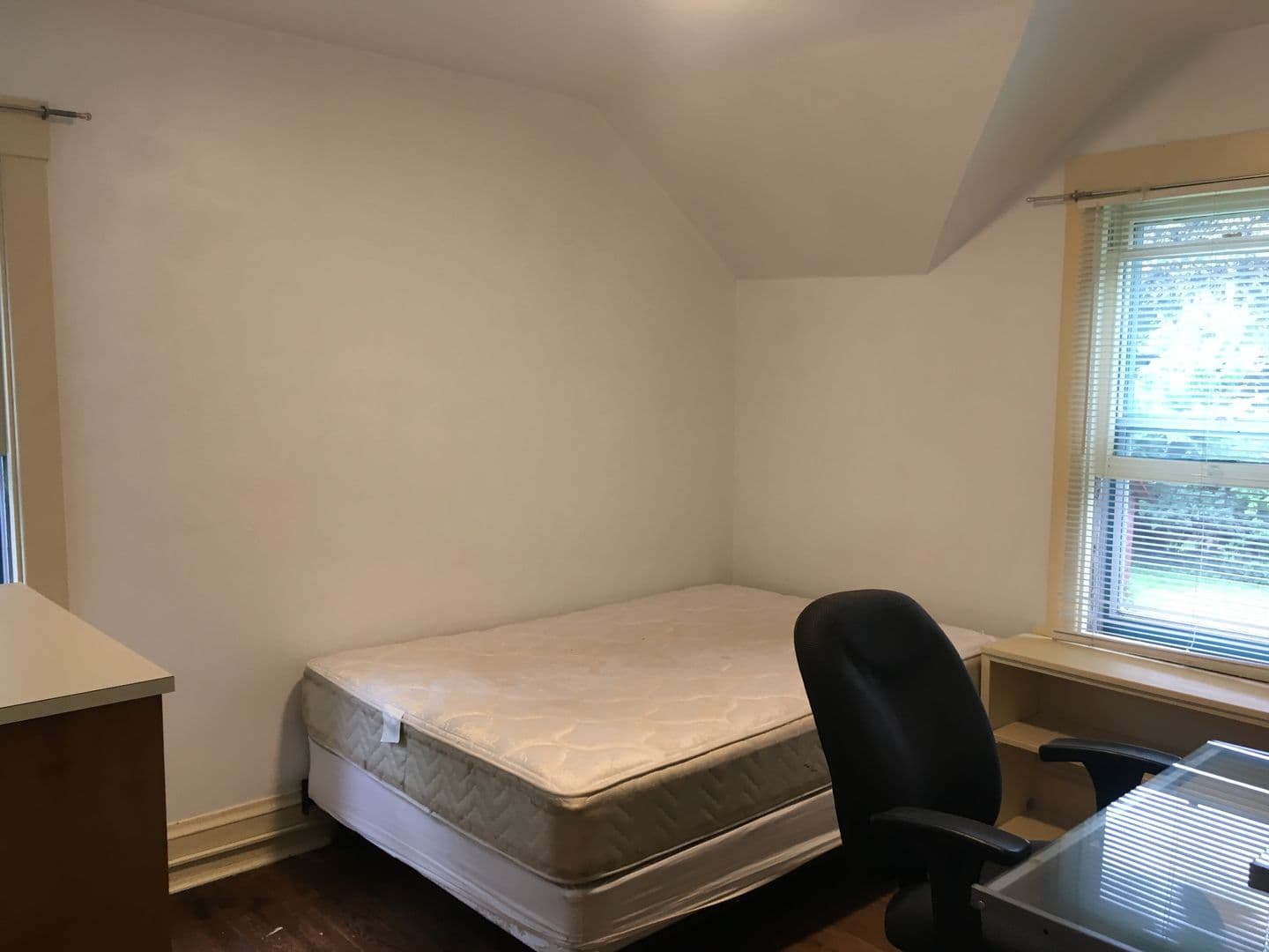 Ithaca Apartment: 107 Elmwood Avenue