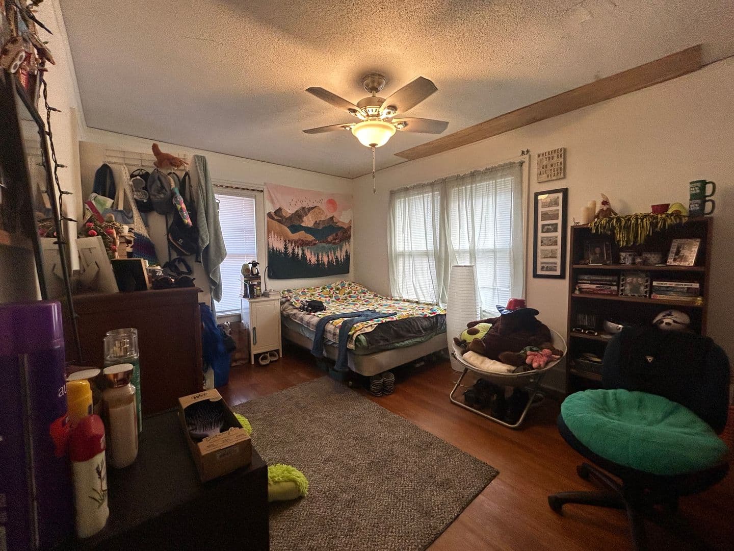 Iowa City House: 529 S. Lucas Street