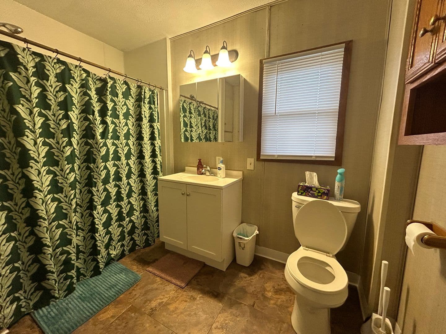 Iowa City House: 529 S. Lucas Street