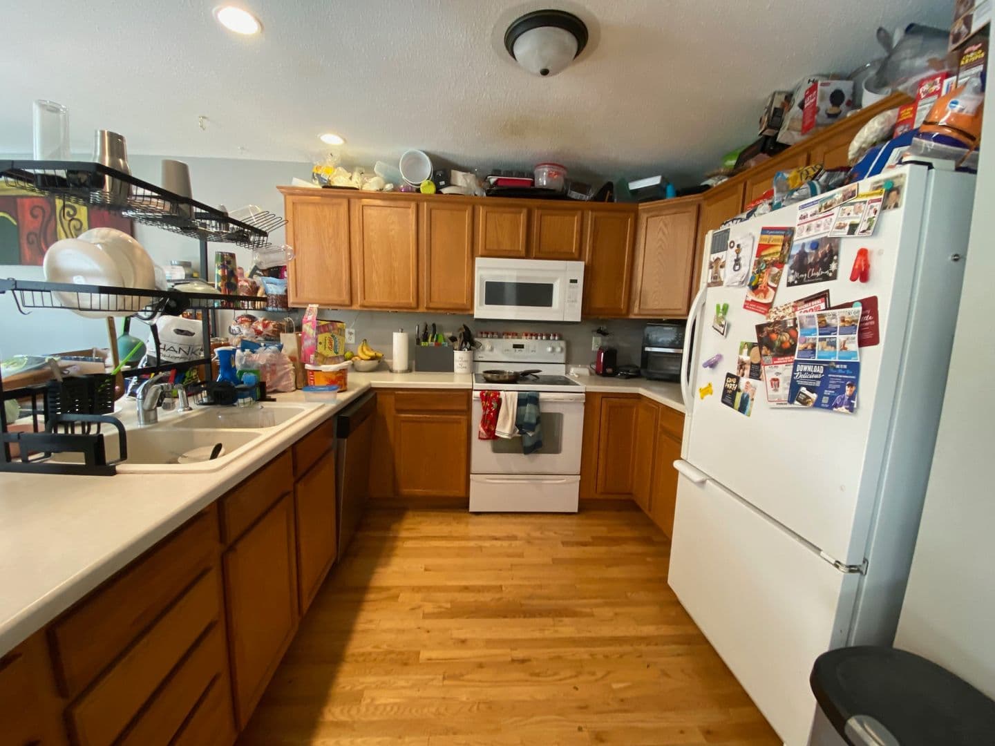 Iowa City House: 1265 Dodge Street Court
