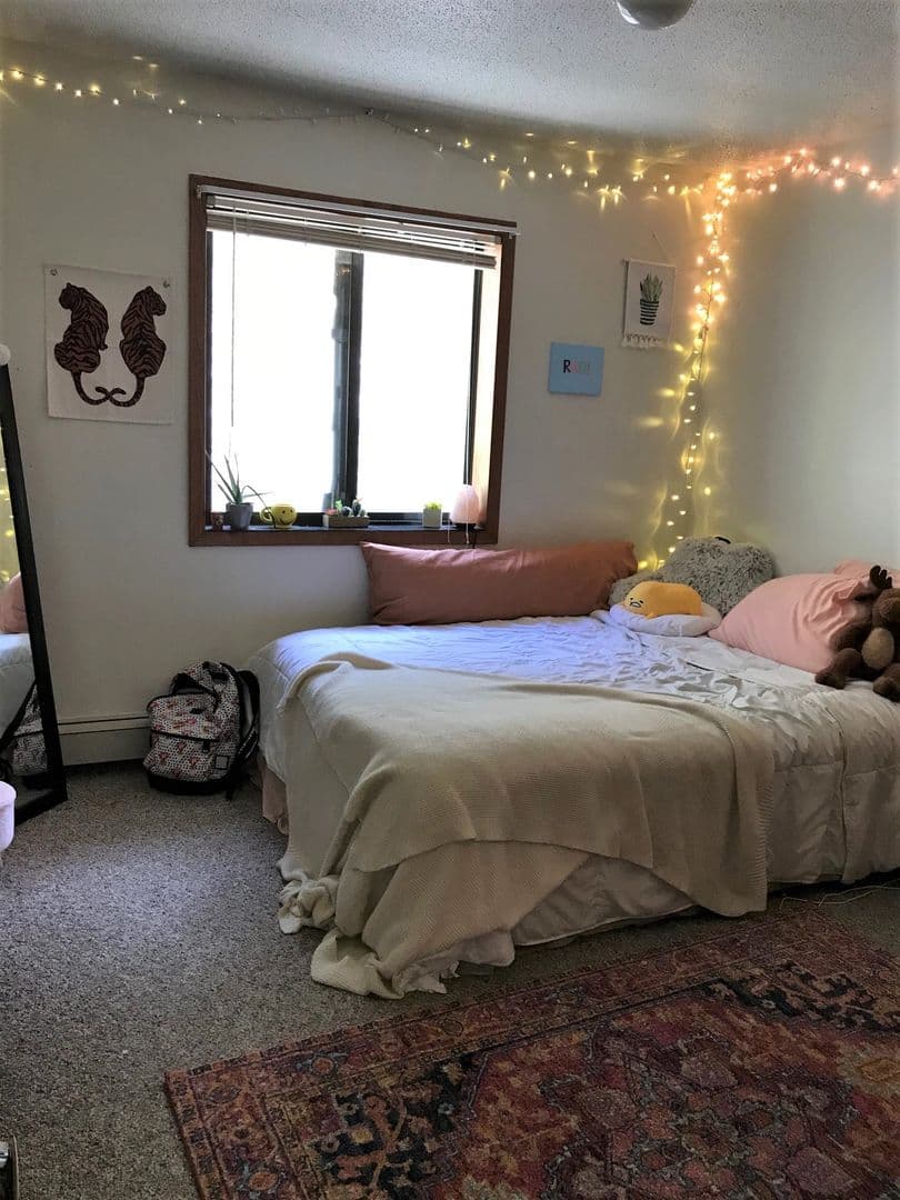 Iowa City Apartment: 1122 N. Dubuque Street