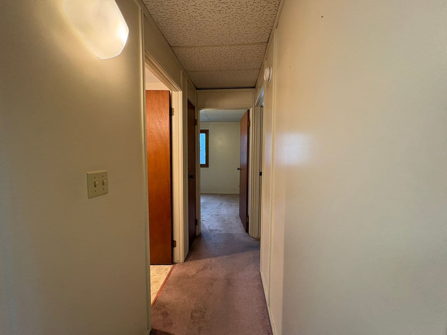 North Liberty Apartment: 175 Sugar Creek Lane (NEW)