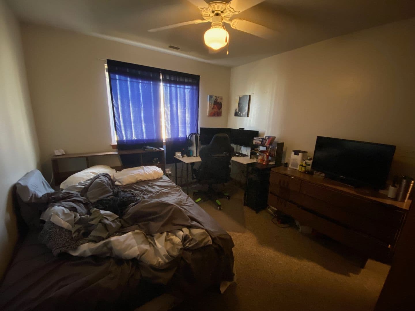 Iowa City House: 1265 Dodge Street Court