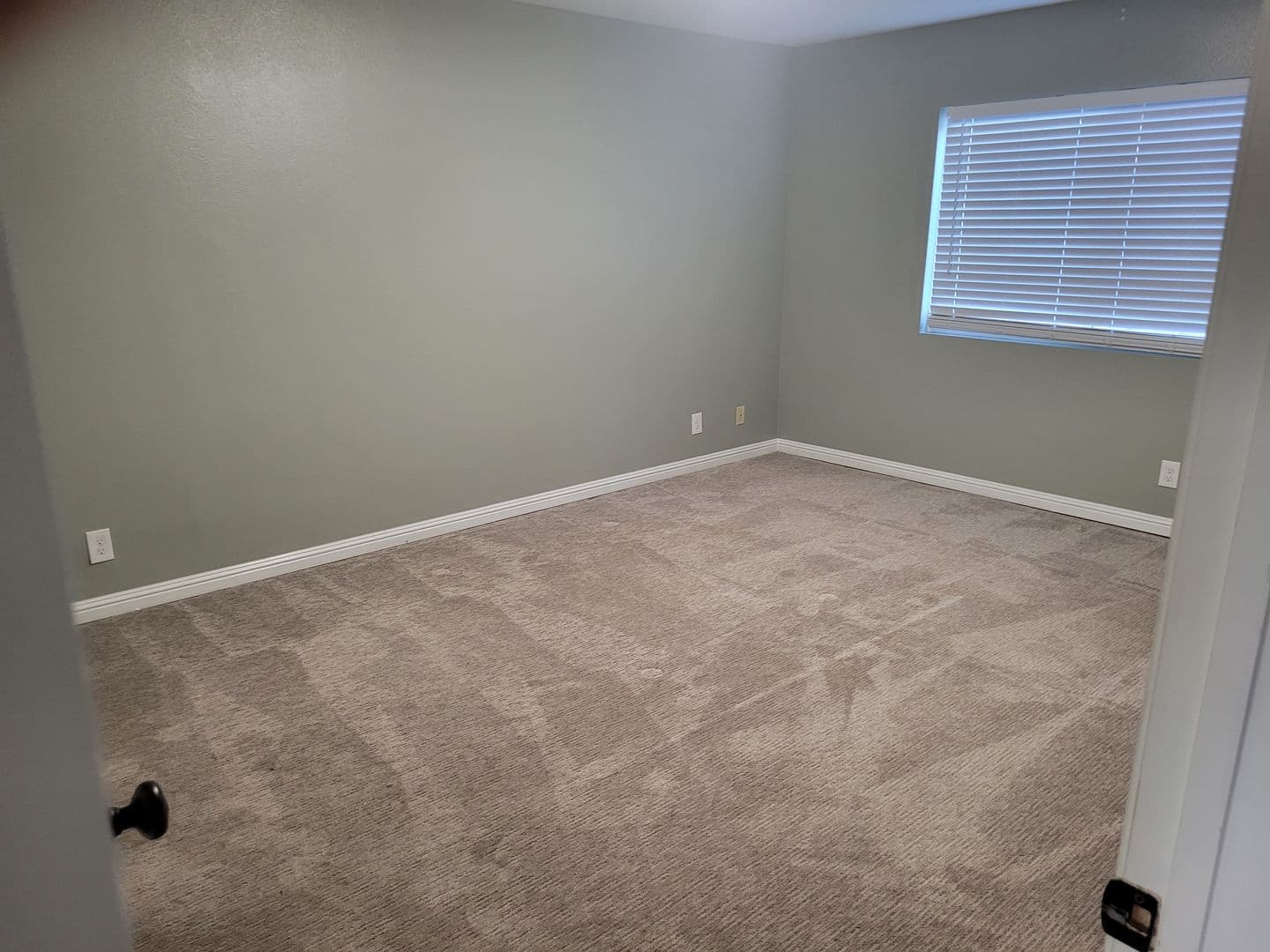 Orange House: 825 W. Fletcher #111