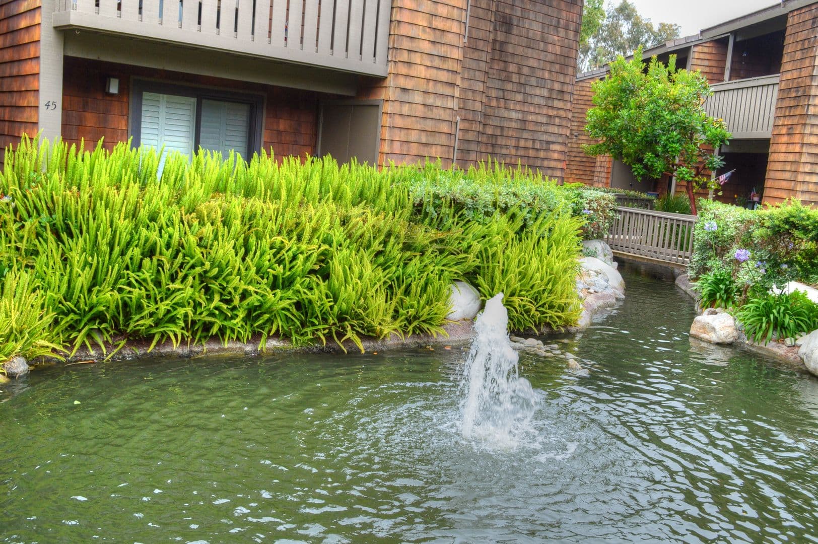 Dana Point Apartment: 33852 Del Obispo St.