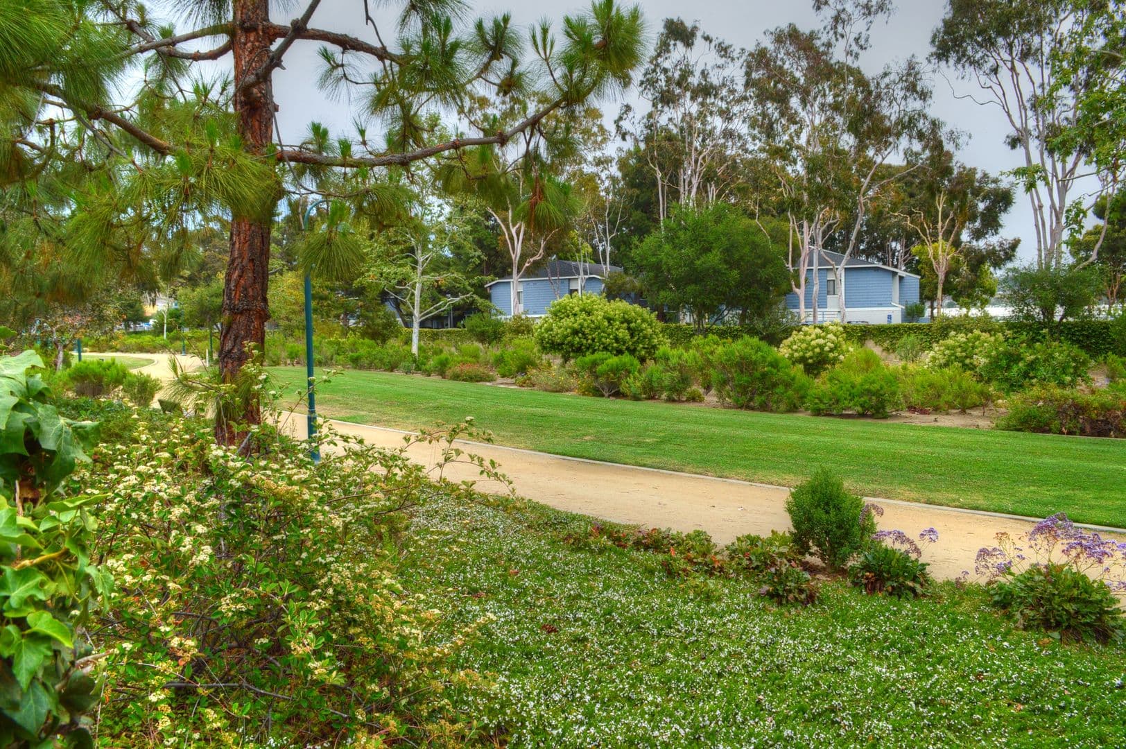 Dana Point Apartment: 33852 Del Obispo St.