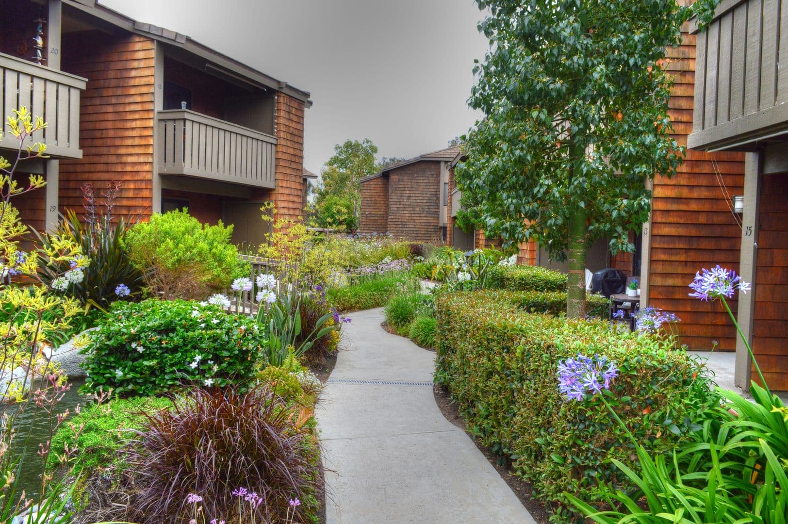 Dana Point Apartment: 33852 Del Obispo St.