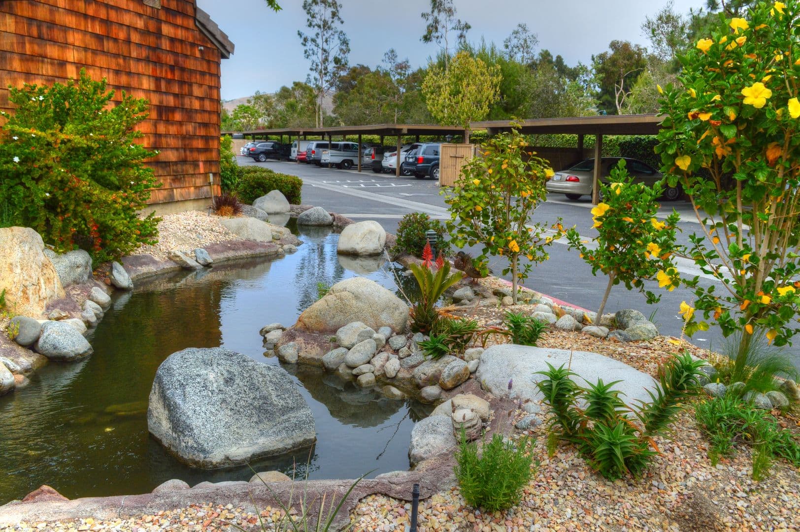 Dana Point Apartment: 33852 Del Obispo St.