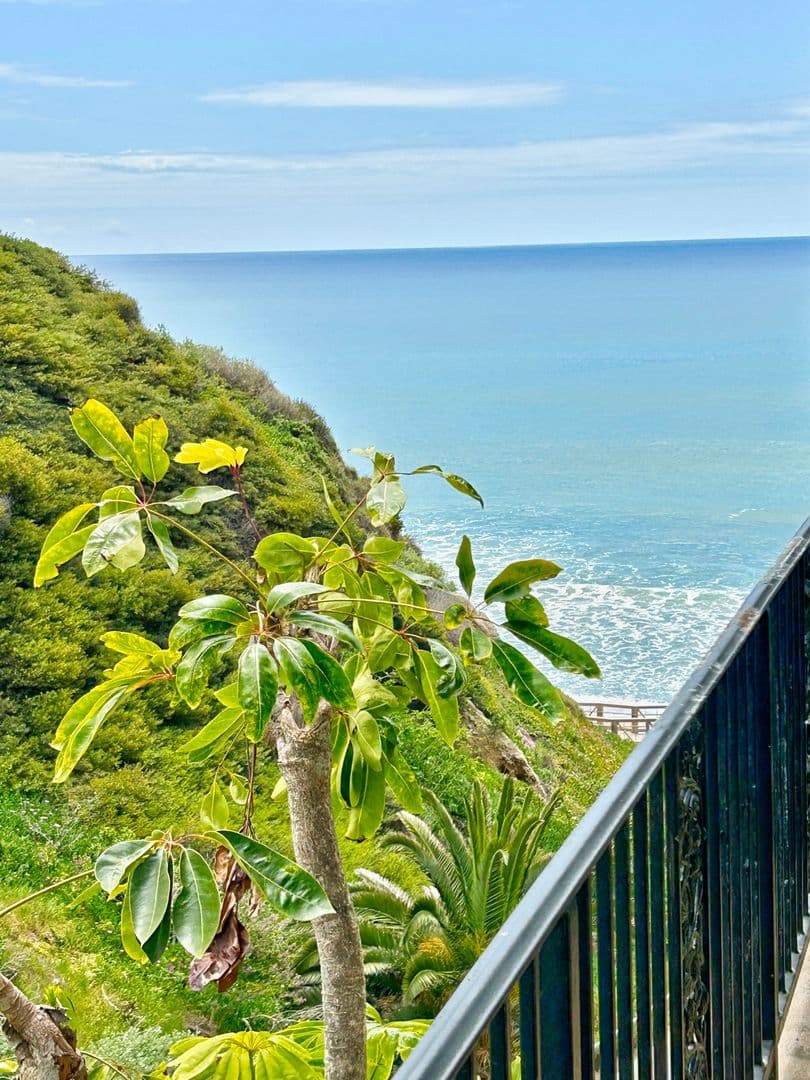 San Clemente House: 258 W Escalones, Unit F
