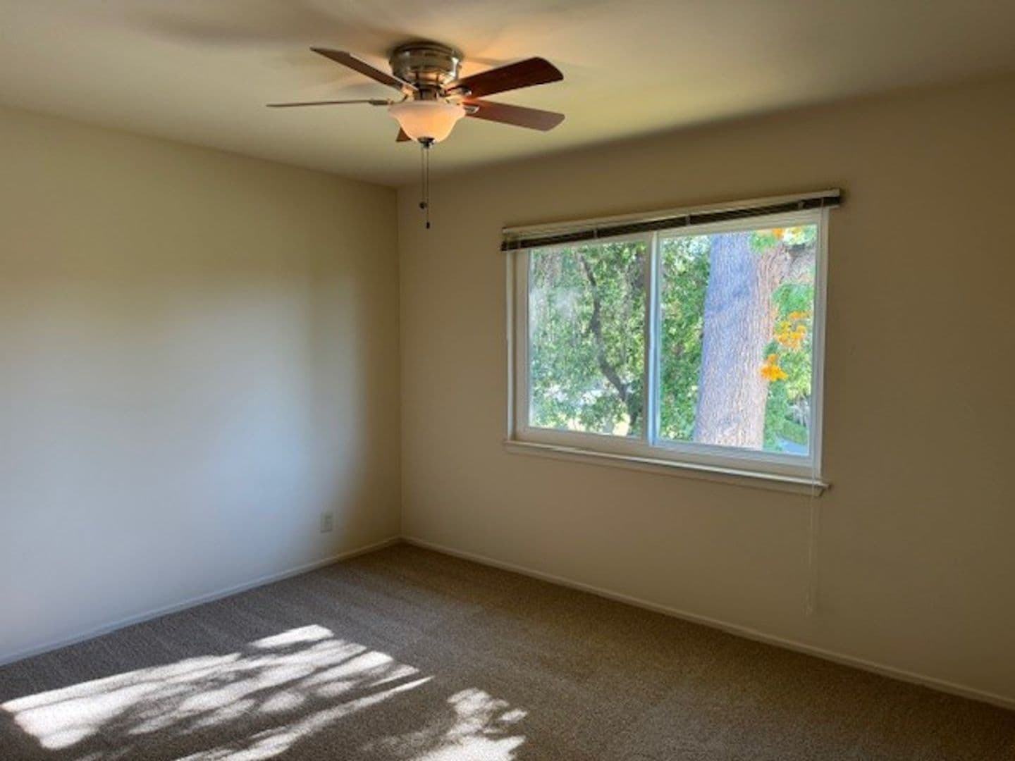 Menlo Park Apartment: 16 Kent Place