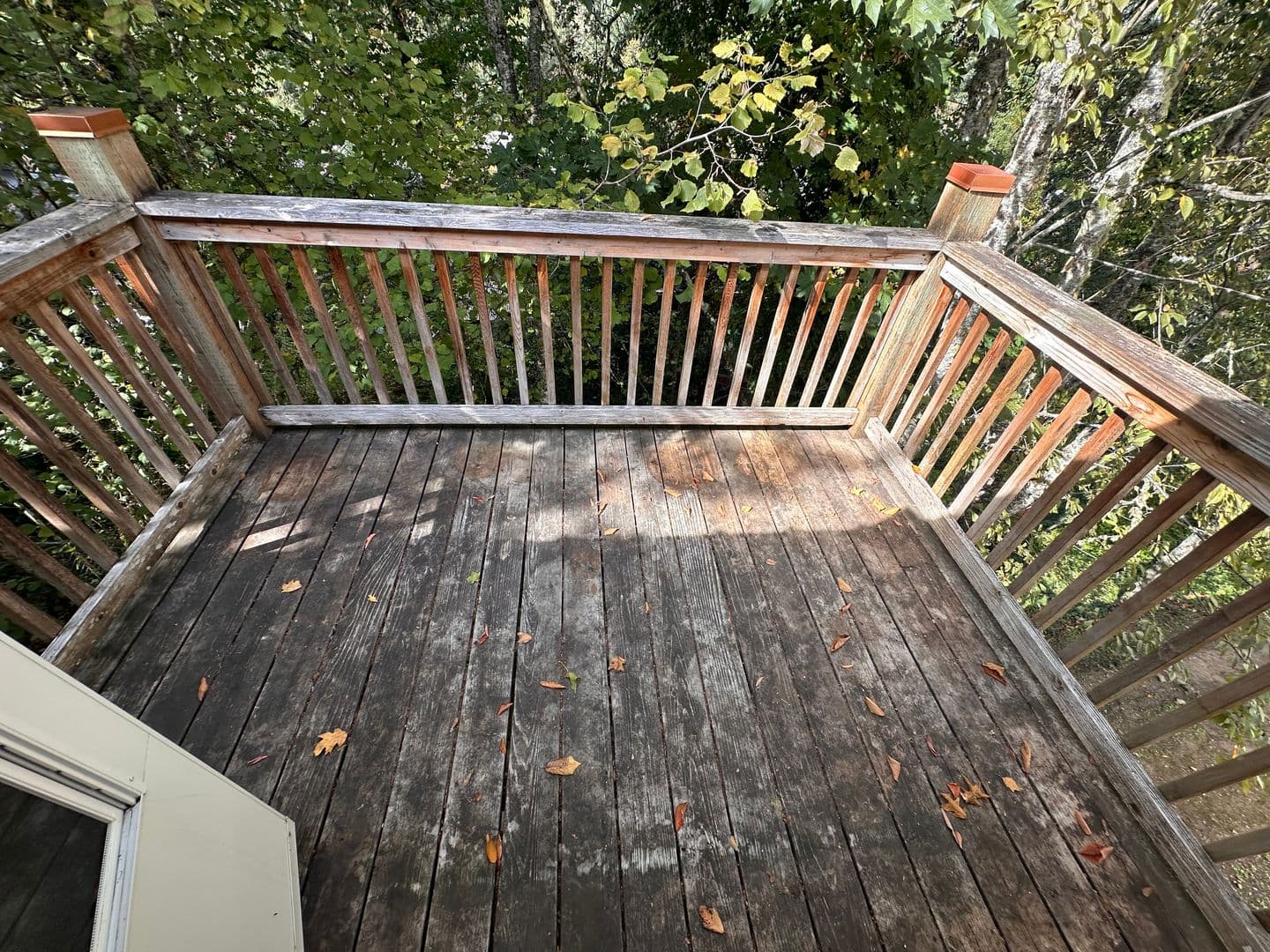 Eugene Apartment: 5477 Donald St