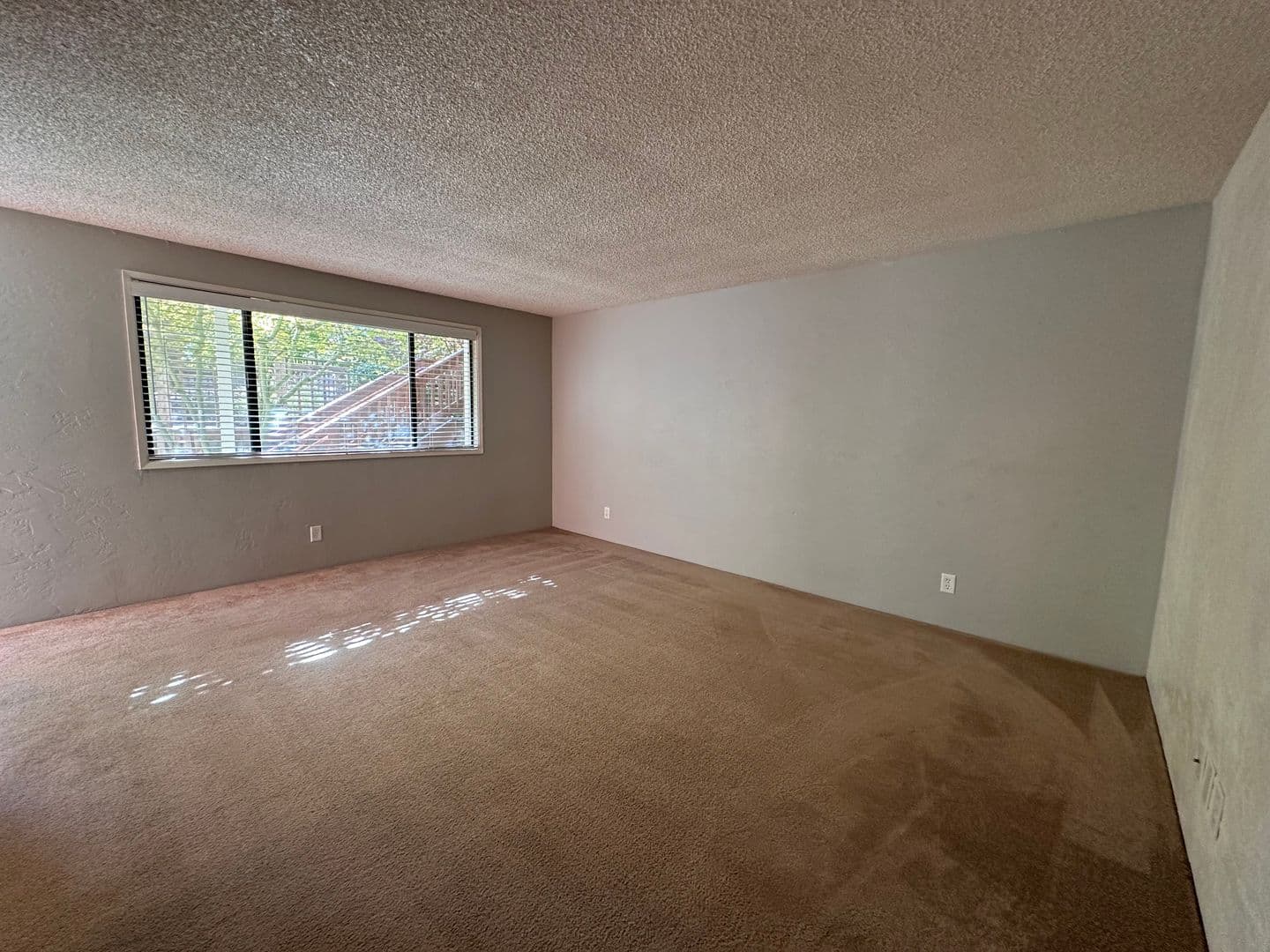 Eugene Apartment: 5477 Donald St