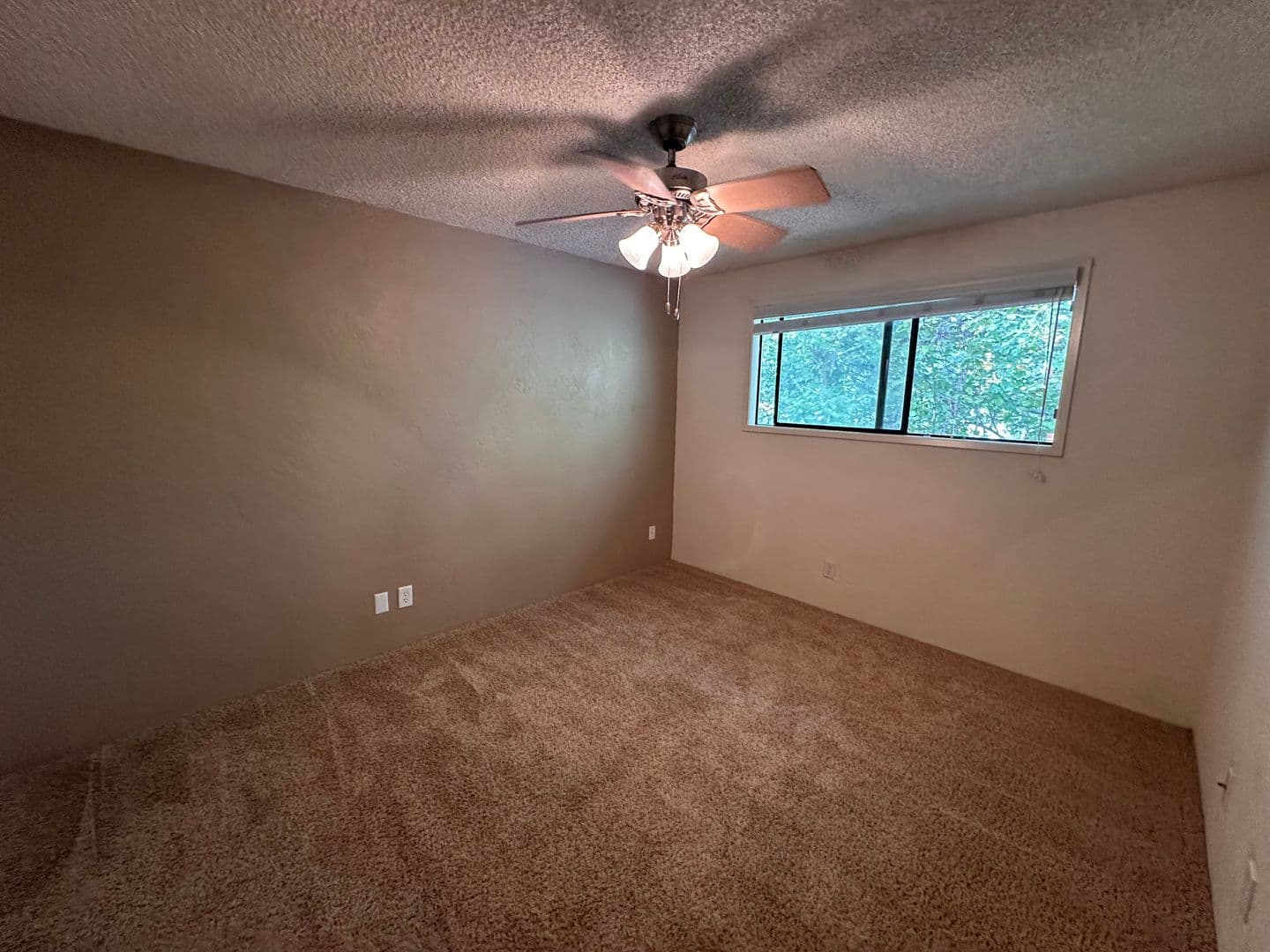 Eugene Apartment: 5477 Donald St